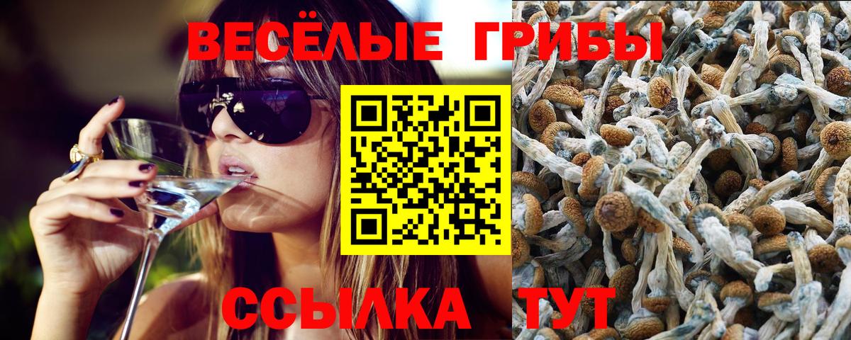 Экстази Луга
