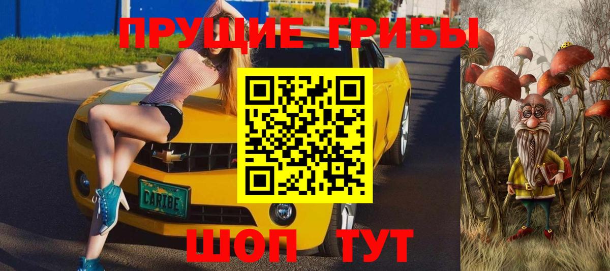 Галлюциногенные грибы ЛСД Луга