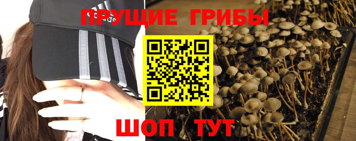 Луга  Галлюциногенные грибы Magic Shrooms  купить наркотики цена  Вход с VPN  Галлюциногенные грибы прущие грибы 