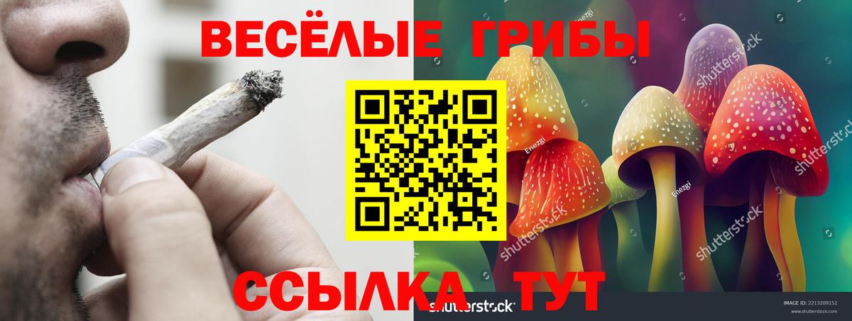 Луга  МАРИХУАНА  Вход с VPN  ГАШ  Меф  